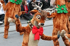 Reindeer