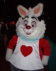 Fantasyland