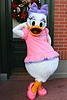 Daisy Duck