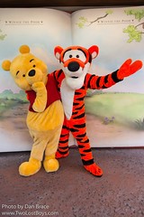 Tigger (Near the Many Adventures of Winnie the Pooh)