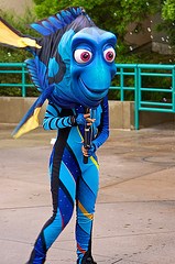 Dory