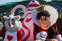 White Rabbit (Random)