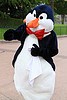 Mr. Penguin