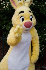 Rabbit (Rare)