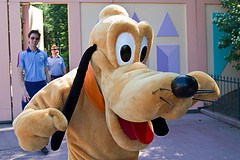 Pluto (Random)