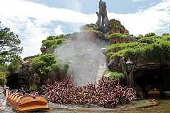Critter Country