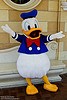 Donald Duck