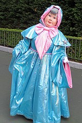 Fairy Godmother