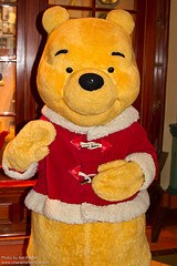 Winnie the Pooh