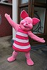 Piglet