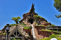 Critter Country