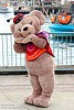 ShellieMay, The Disney Bear