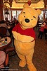 Winnie the Pooh