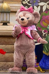 ShellieMay, The Disney Bear