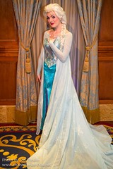 Elsa (Fairy Tale Hall)