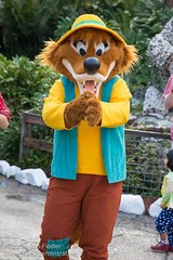 Brer Fox