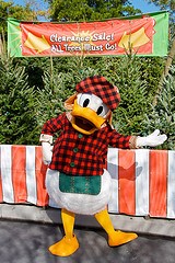 Donald Duck (Meets in Fantasyland during Christmas week)