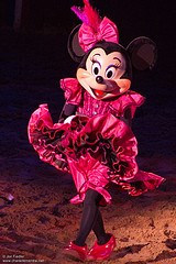 Minnie Mouse (Rare to meet)