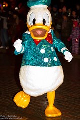Donald Duck (Rare)