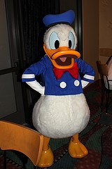 Donald Duck (Random)