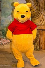 Winnie the Pooh (Permanent, until further notice)